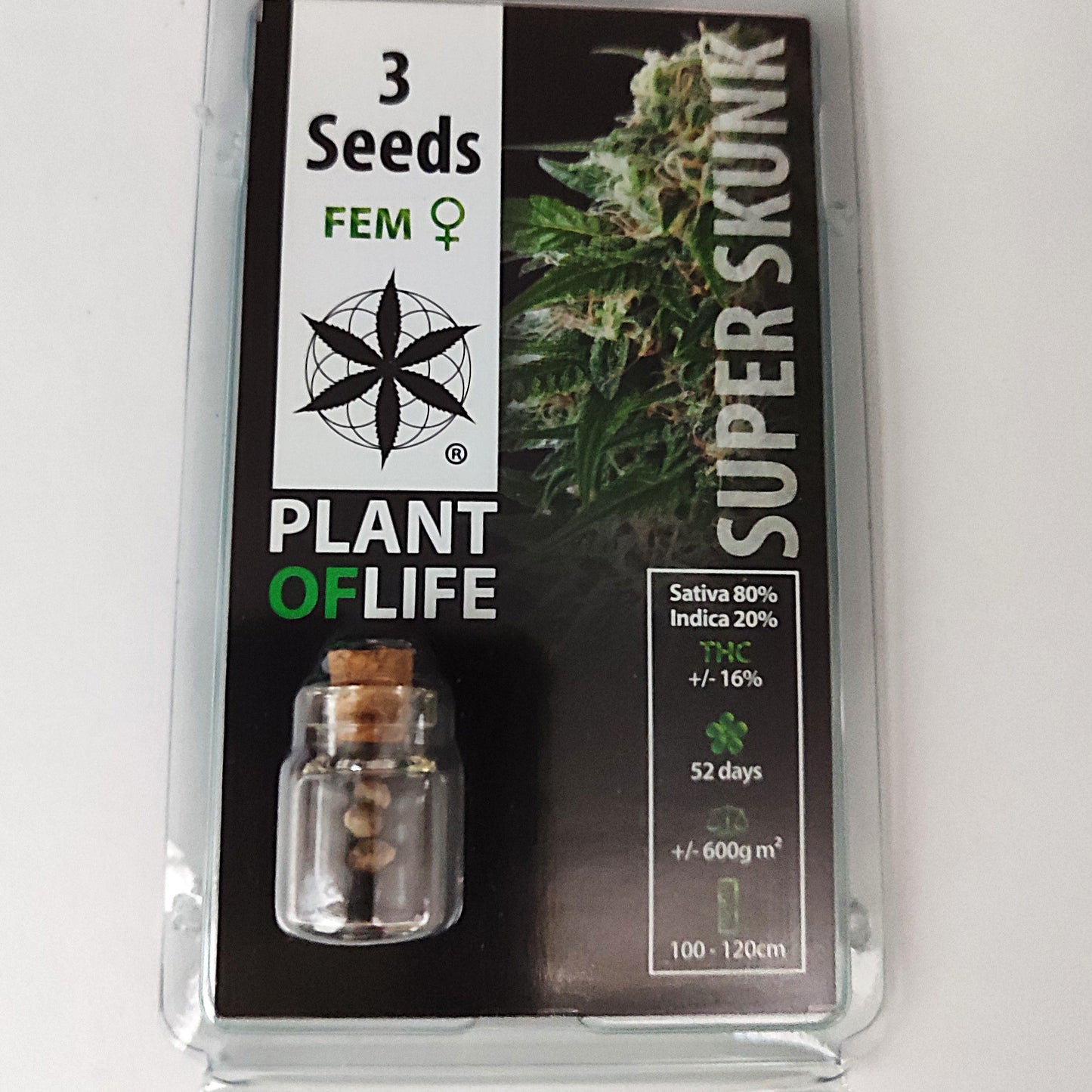 SEMILLAS SUPER SKUNK FEMINIZADA