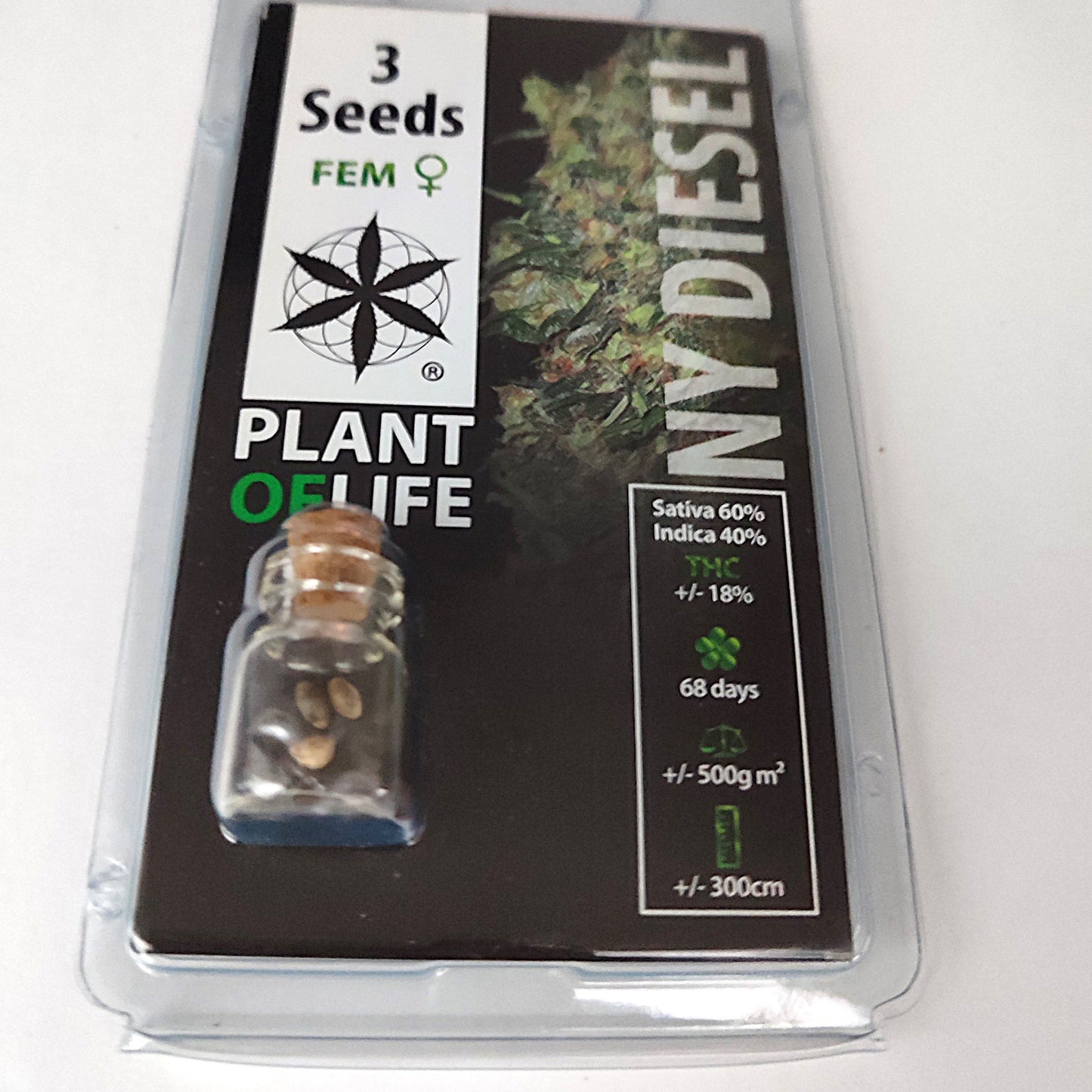 SEMILLAS NY DIESEL FEMINIZADA