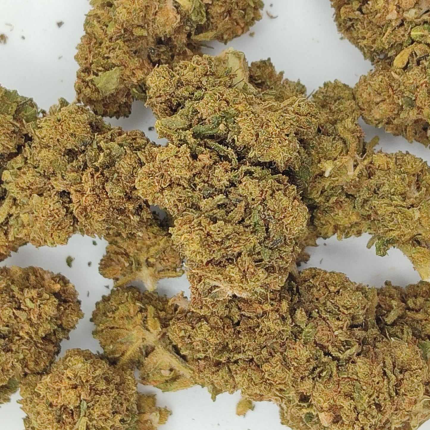 Flor De CBD BZ1 15-18% CBD
