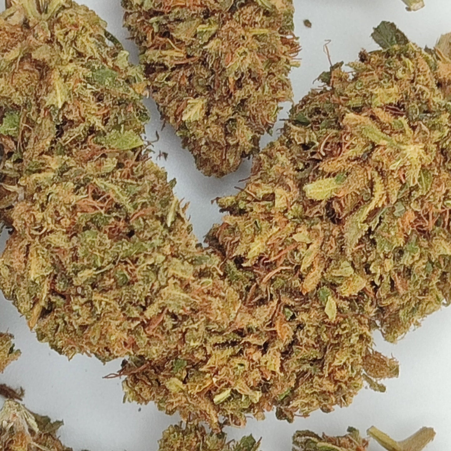 Flor de CBD G13 10-15% CBD