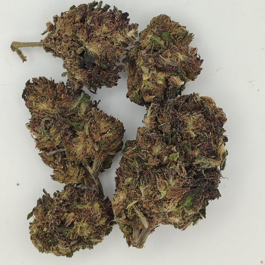 Flor de THX PURPLE KUSH 30% THX