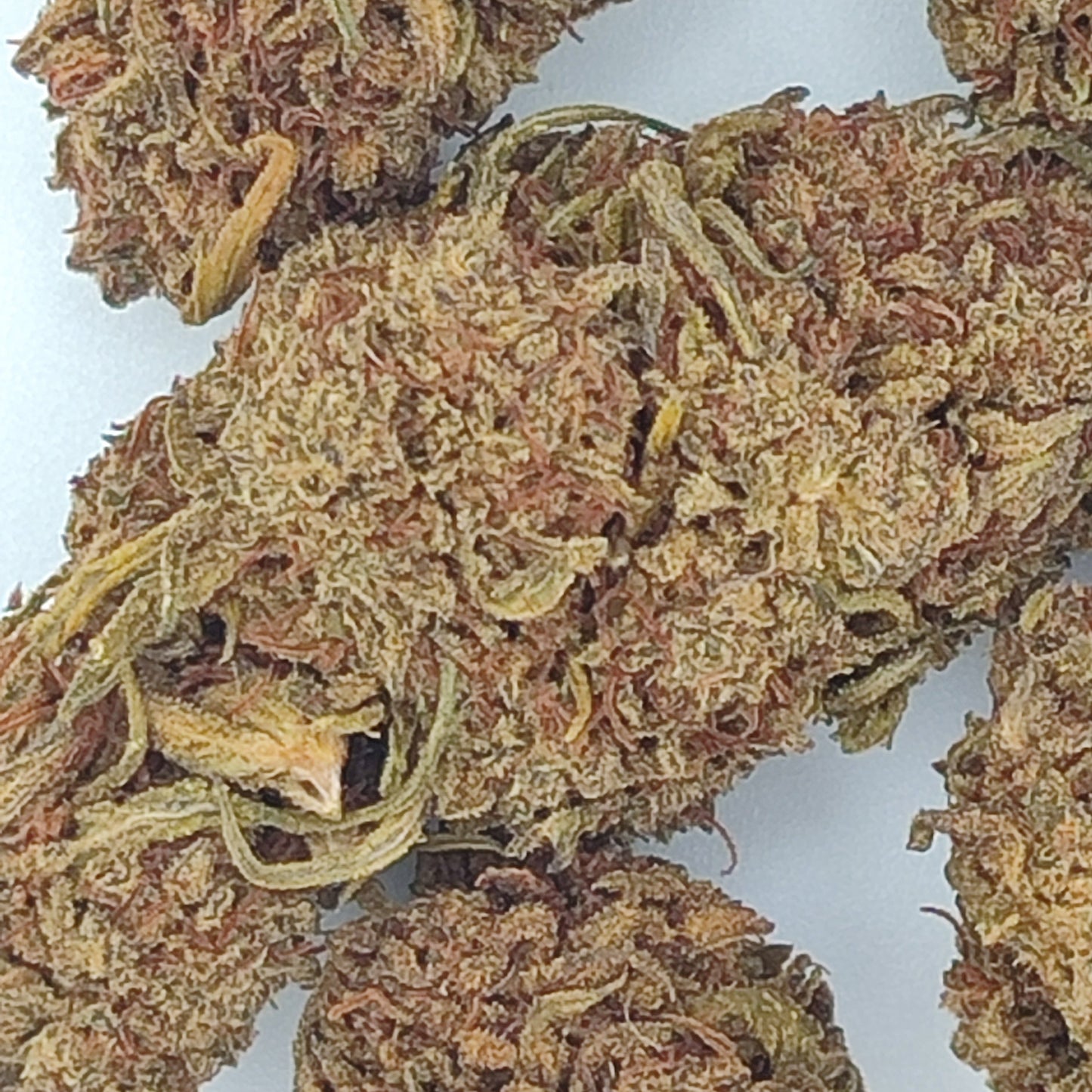 Flor De CBD BANANA SMASH 15% CBD