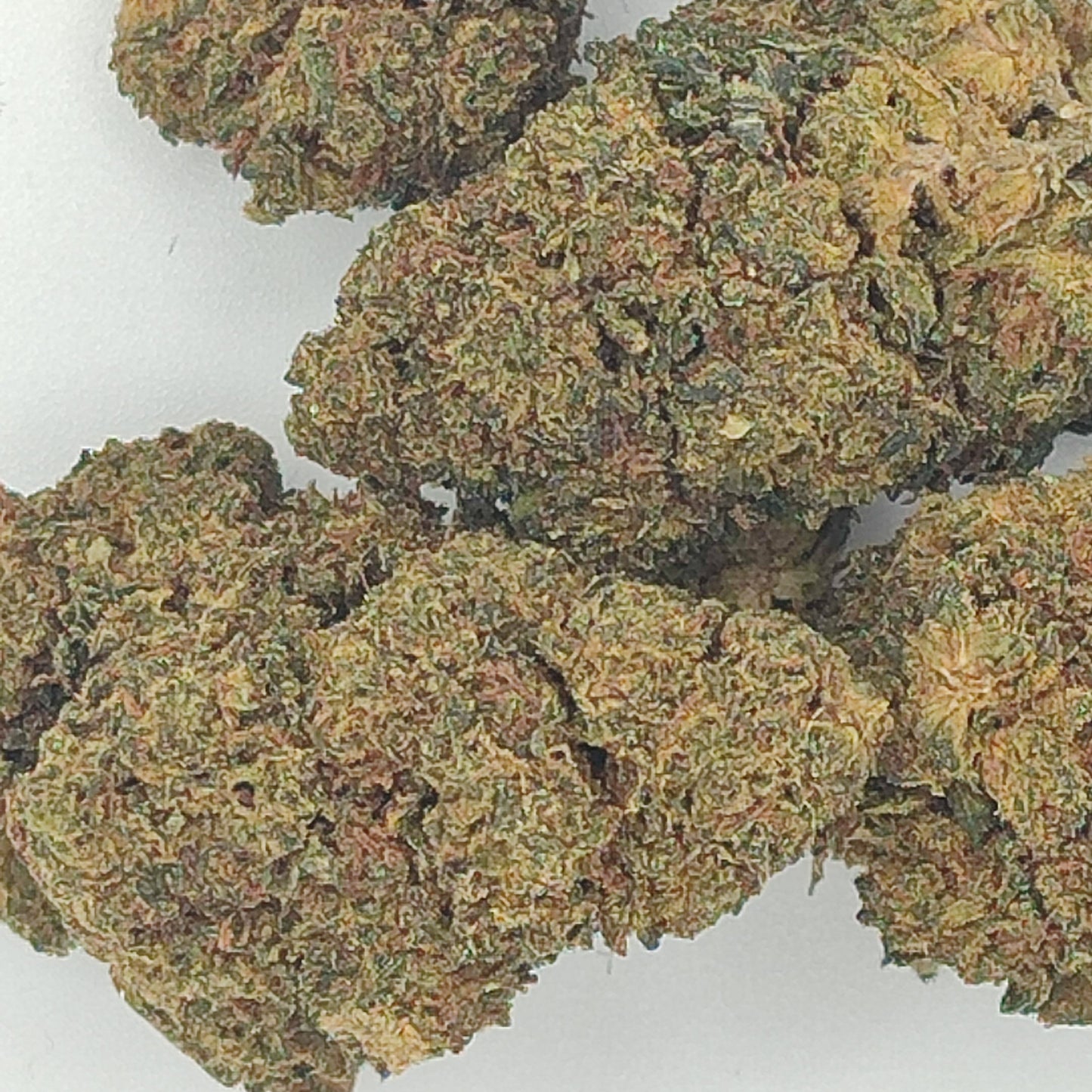 Flor de 10-OH BLUE MAGIC 30-35% 10-OH