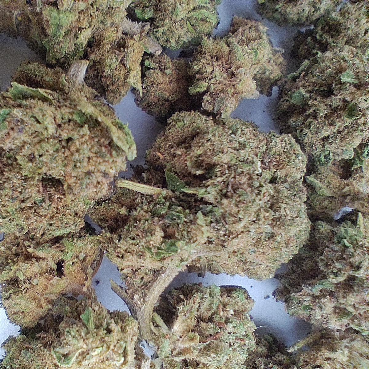 Flor de CBD CANDY TONIC 15% CBD