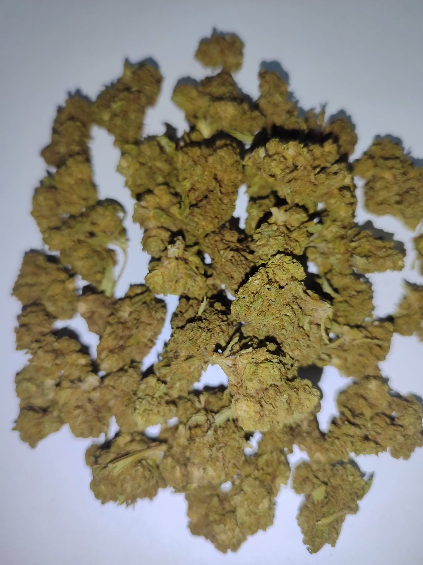 Flor de CBD EASY BUD 15% CBD