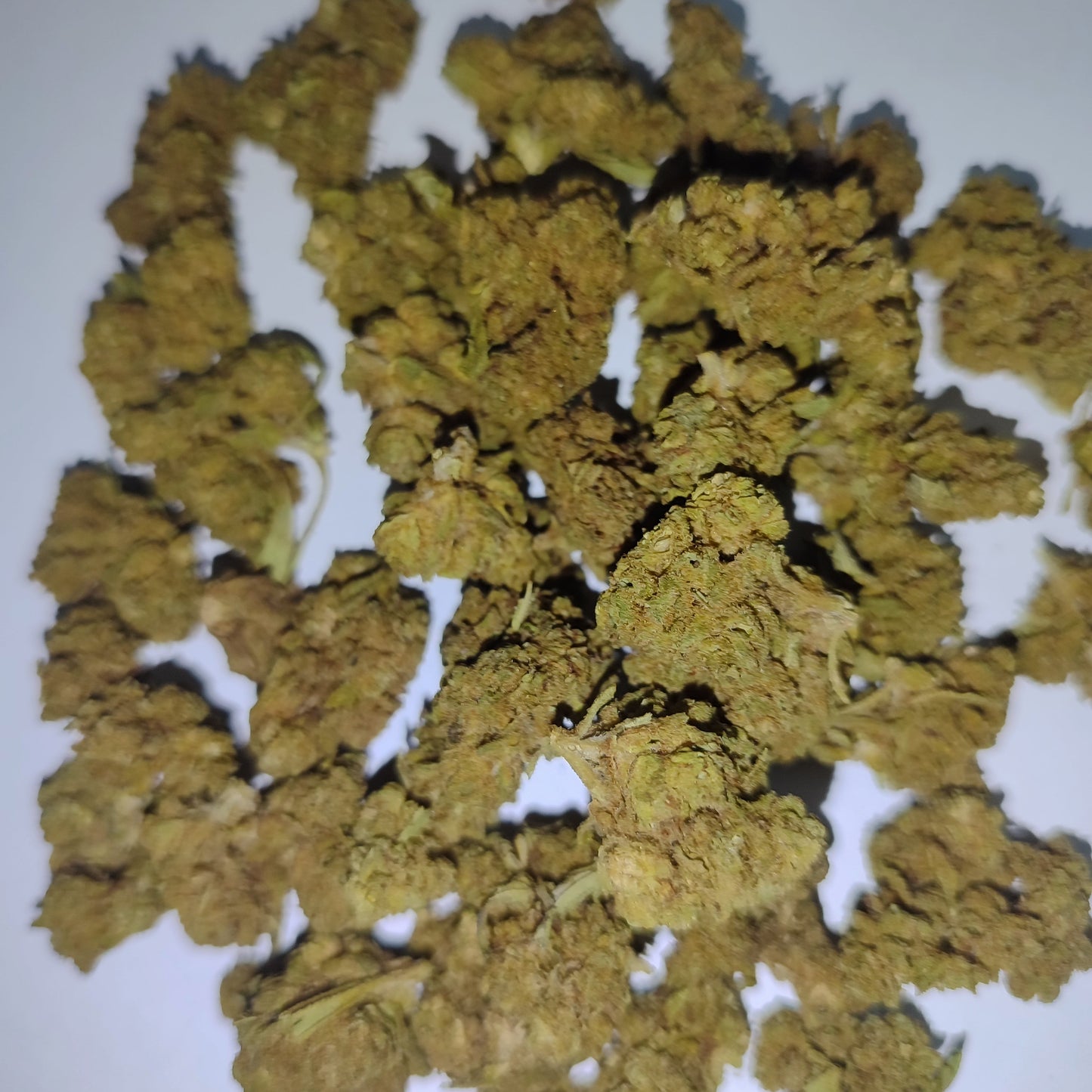 Flor de CBD EASY BUD 15% CBD