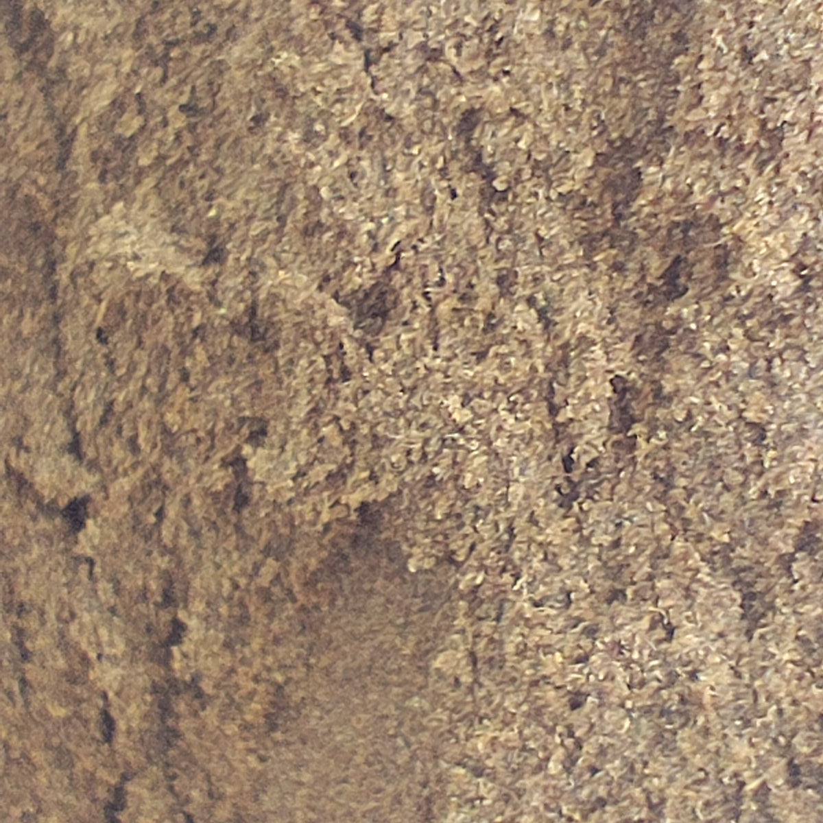 Hash de CBD POLEN 20-25% CBD