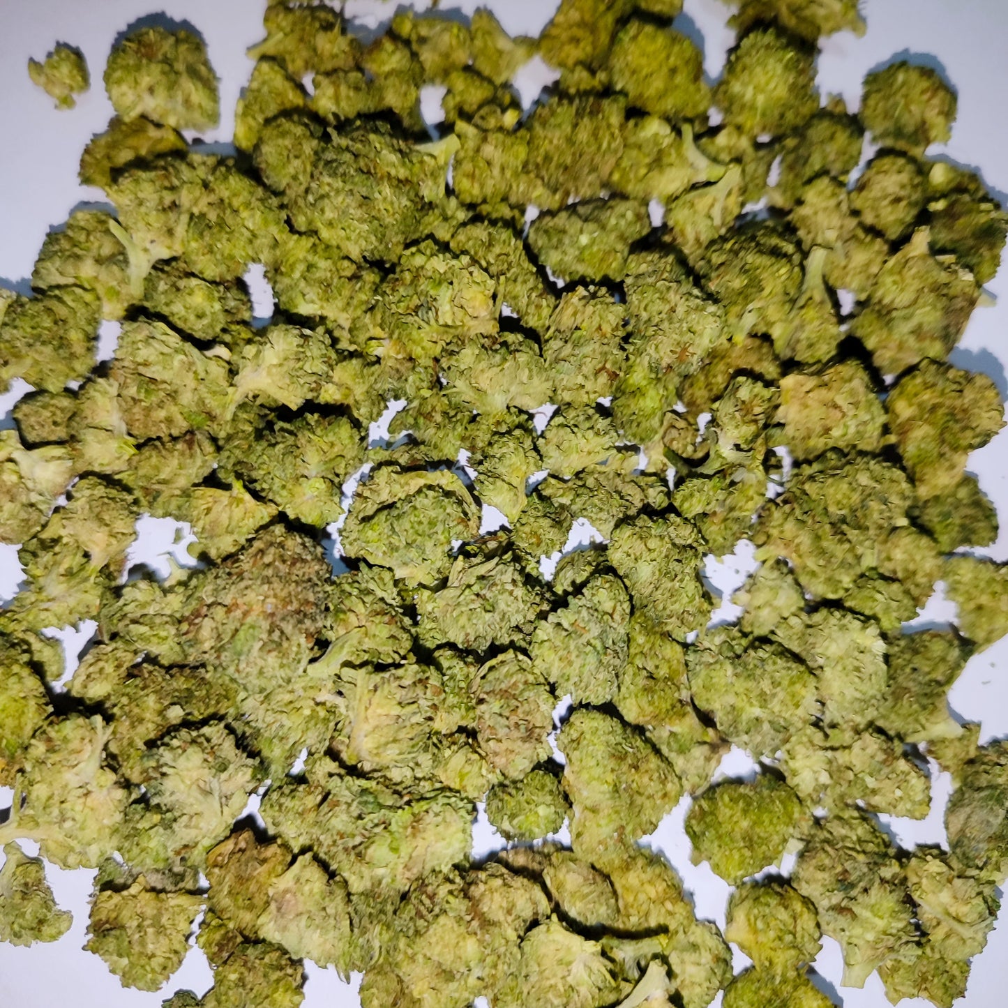 Flor de D10 ROYAL DWARF 50% D10