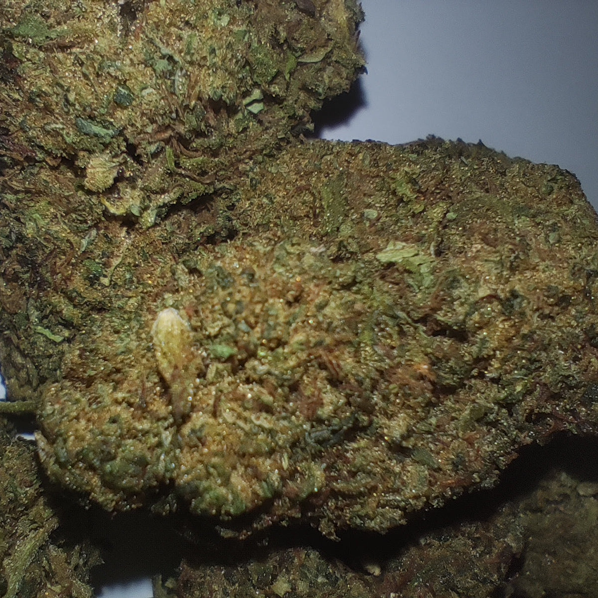 Flor de T9C TNT KUSH 20-25% T9C