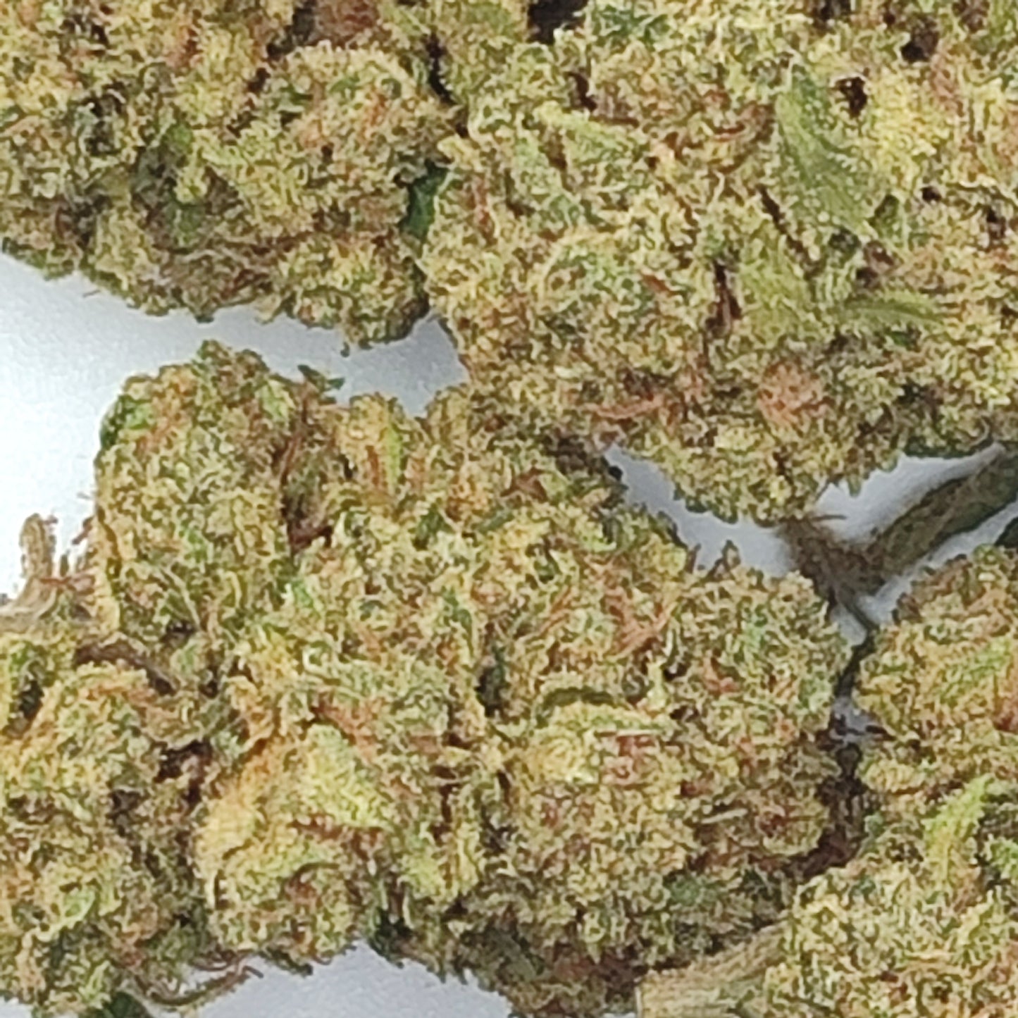 Flor De CBD TROPICANA 18-20% CBD
