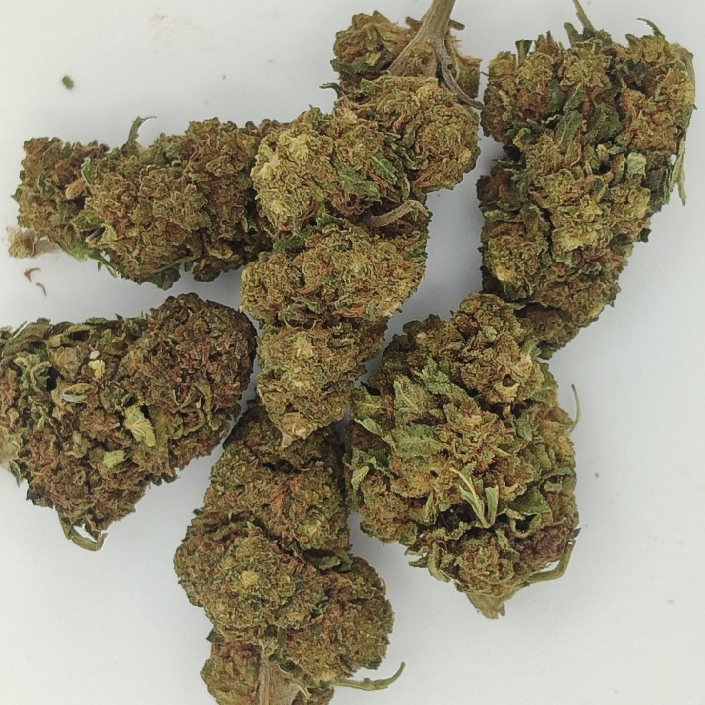 Flor De CBD WATERMELON 18-20% CBD