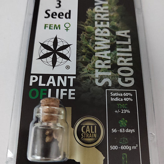 SEMILLAS STRAWBERRY GORILLA FEMINIZADA
