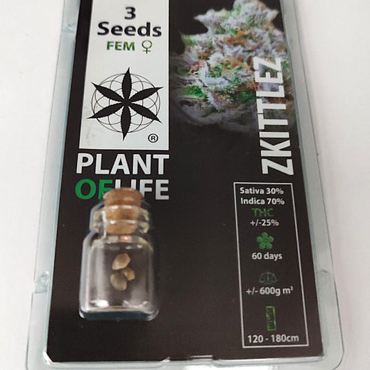 SEMILLAS ZKITTLEZ FEMINIZADA