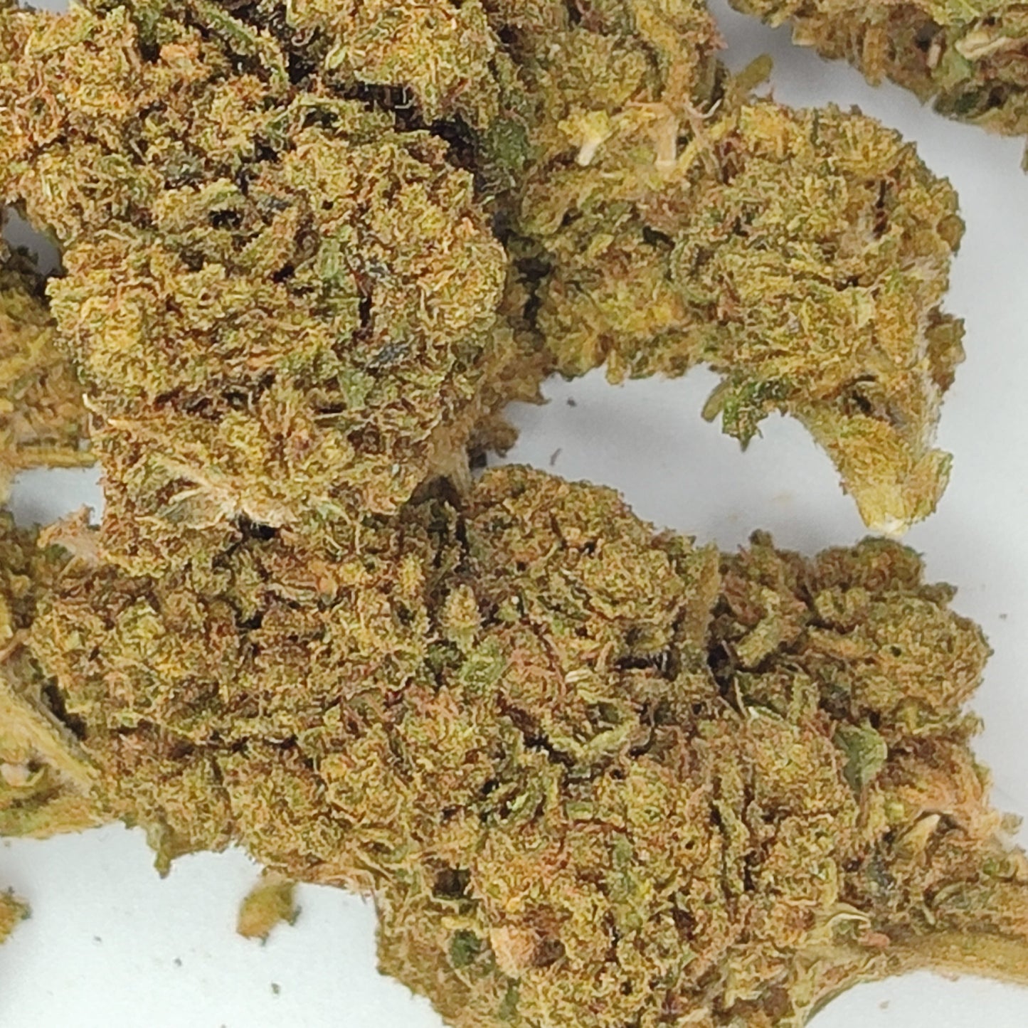 Flor De CBD BZ1 15-18% CBD
