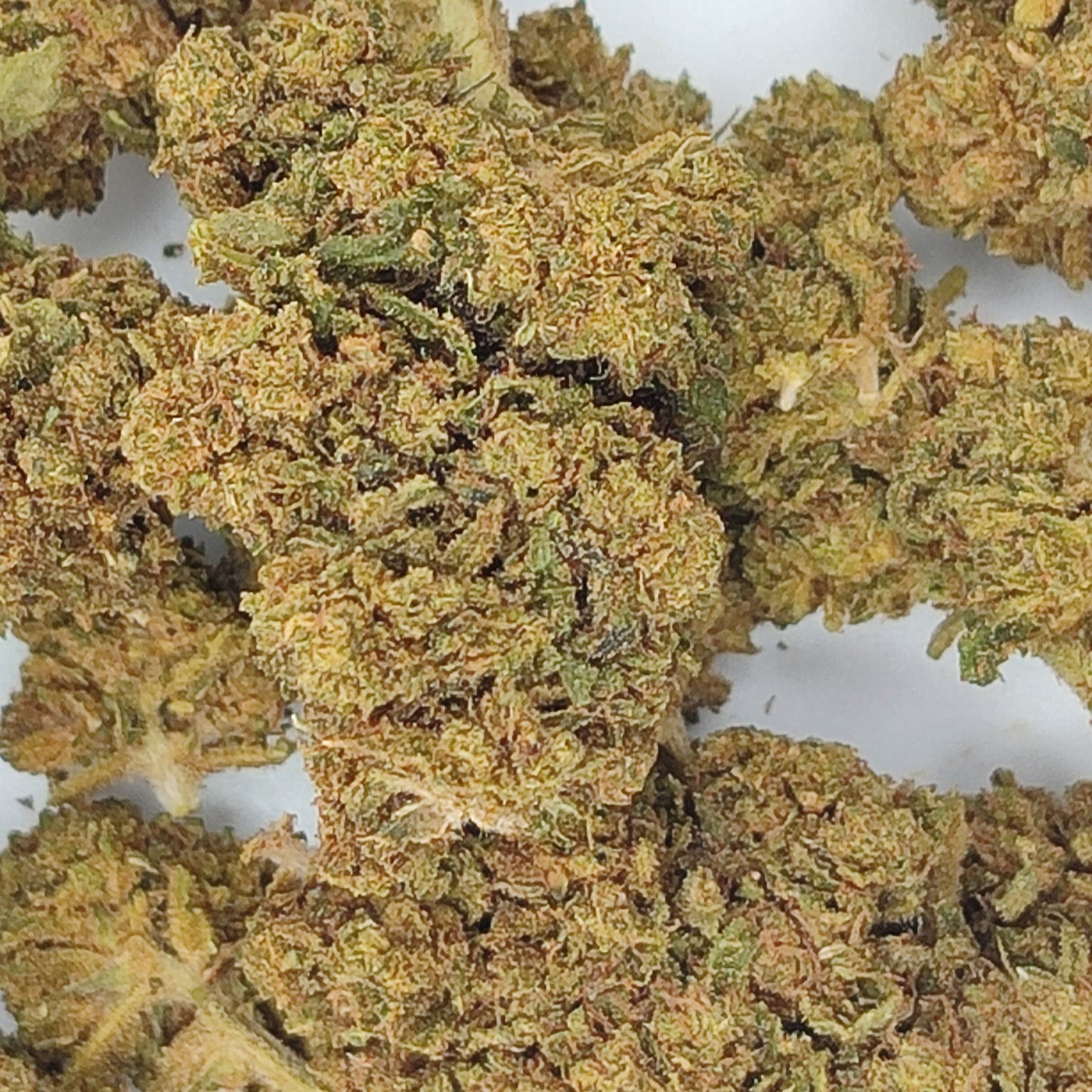 Flor De CBD BZ1 15-18% CBD