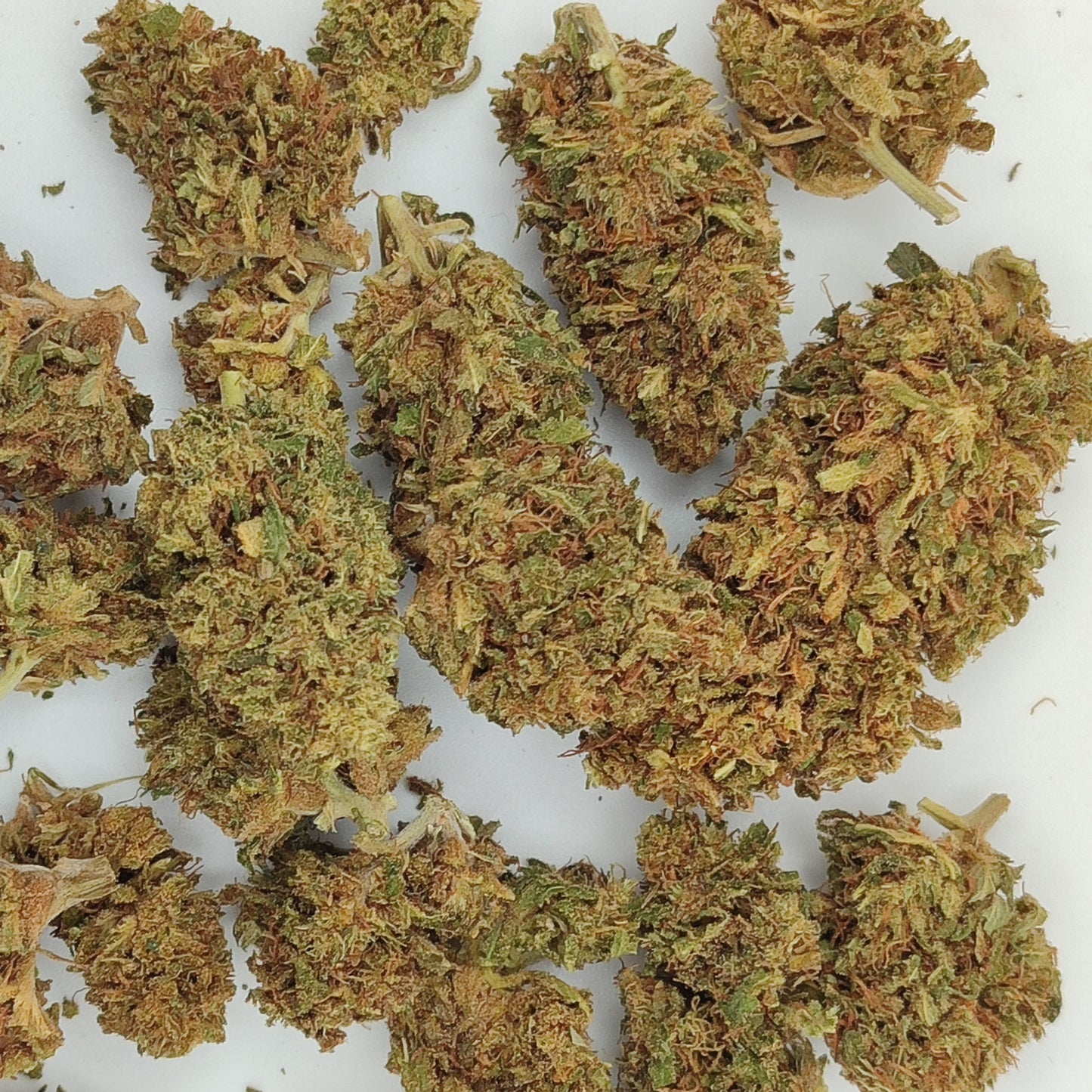 Flor de CBD G13 10-15% CBD