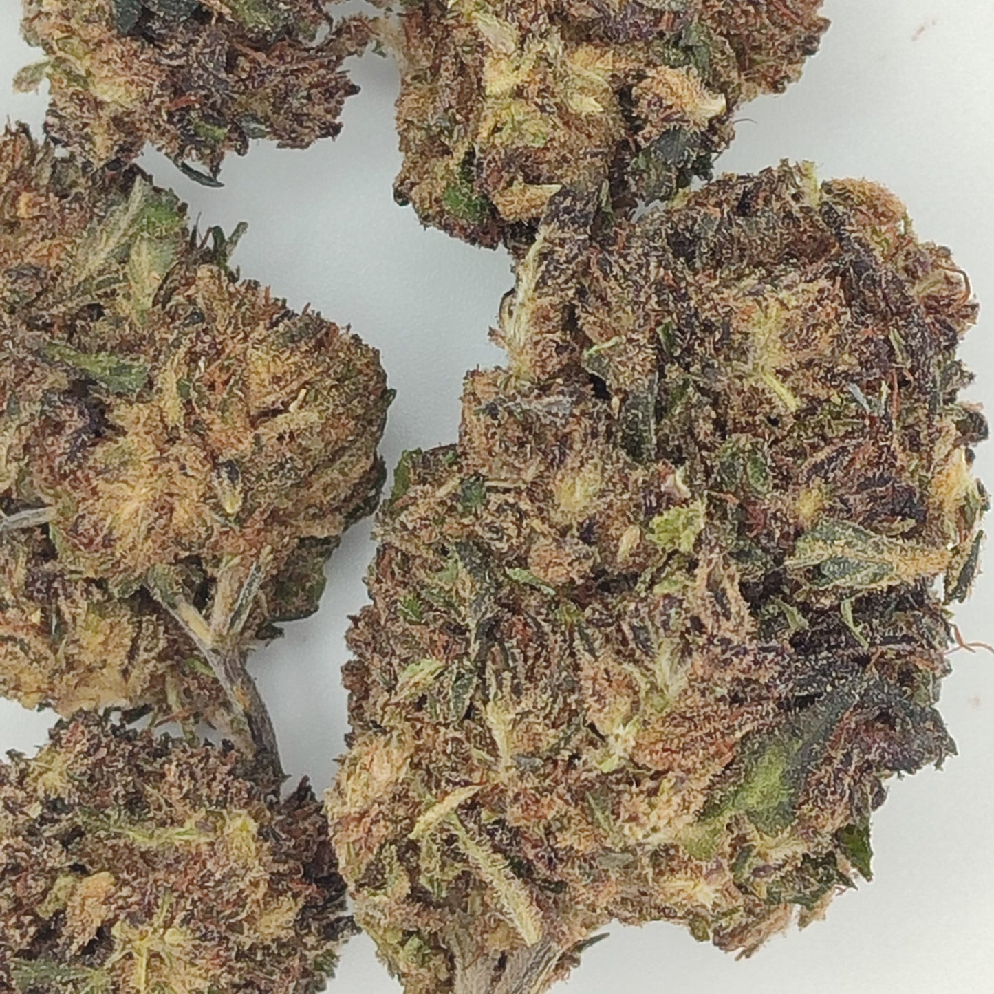 Flor de THX PURPLE KUSH 30% THX