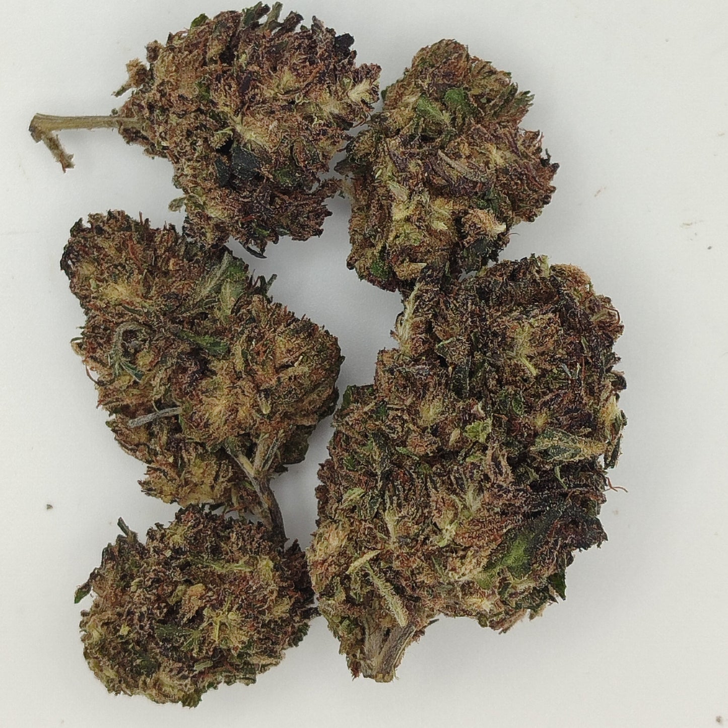 Flor de THX PURPLE KUSH 30% THX