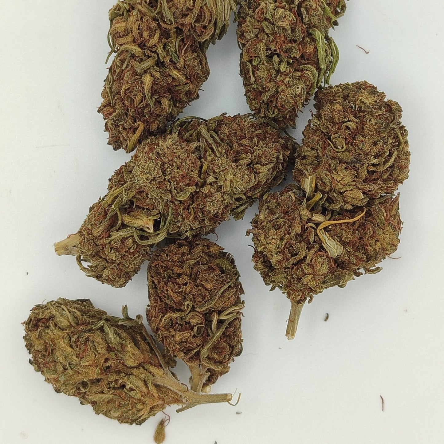 Flor De CBD BANANA SMASH 15% CBD