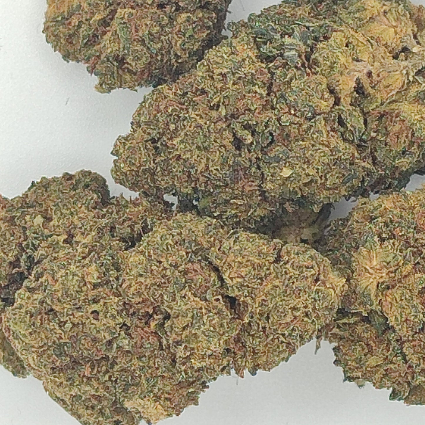 Flor de 10-OH BLUE MAGIC 15-20% 10-OH