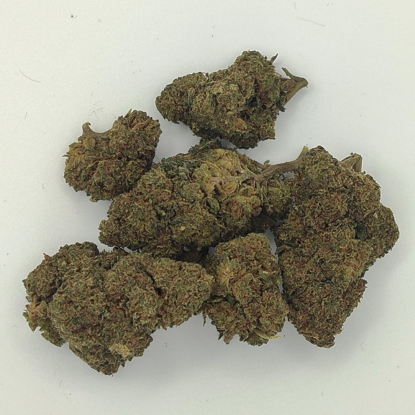 Flor de 10-OH BLUE MAGIC 15-20% 10-OH