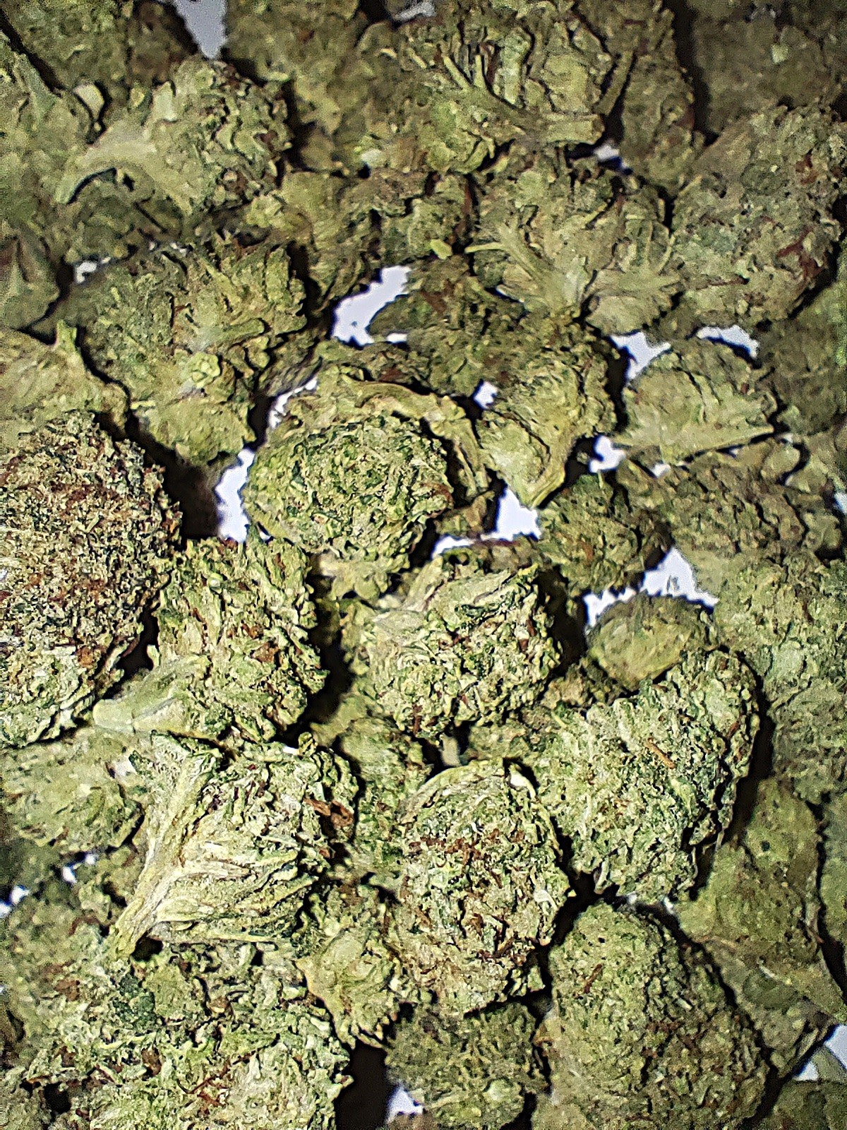Flor de T9C BUBBLE GUM small buds 10-15% T9C
