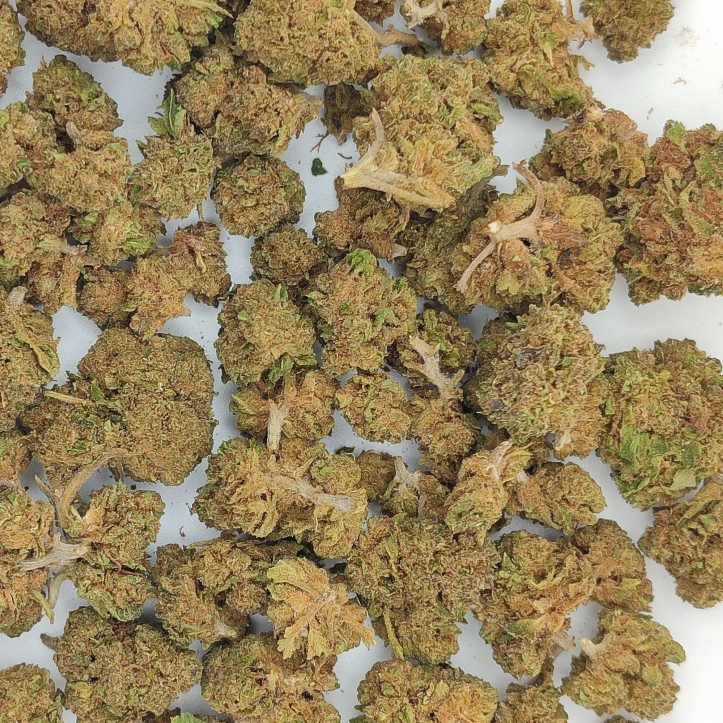 Flor de CBD CANDY TONIC 15% CBD
