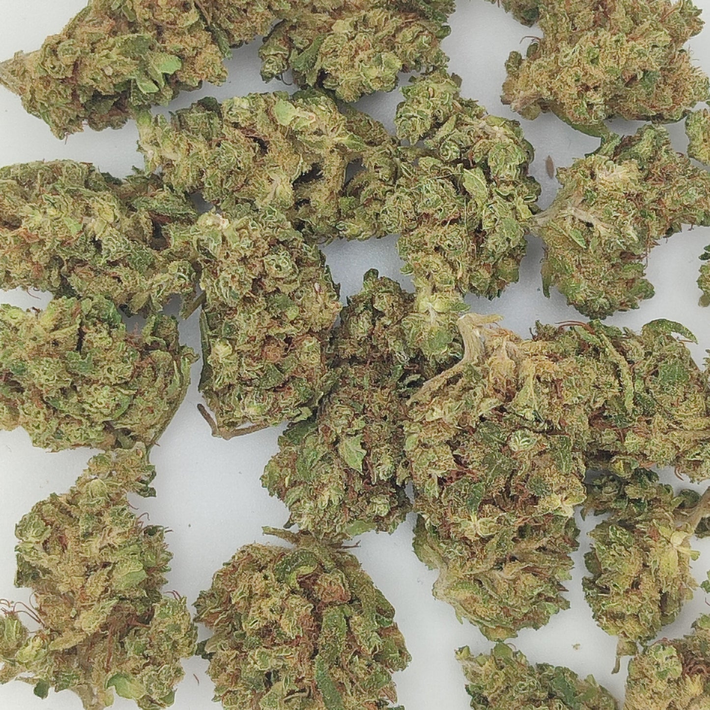 Flor de CBD CANNATONIC 15% CBD