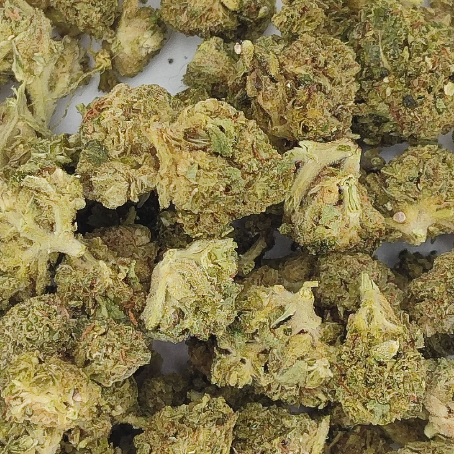 Flor de THX CANNATONIC 30% THX
