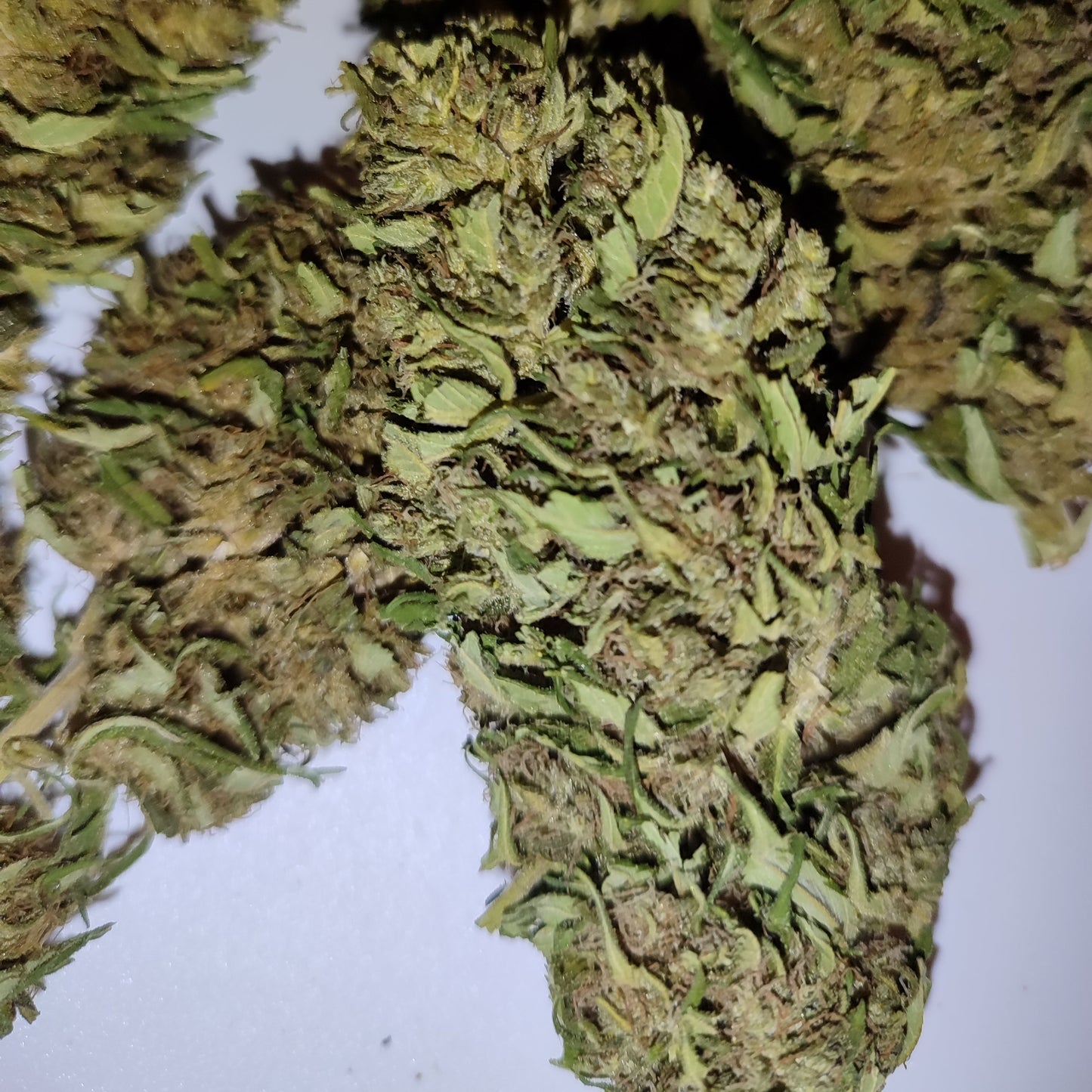 Flor de CBD CARAMELO 15% CBD