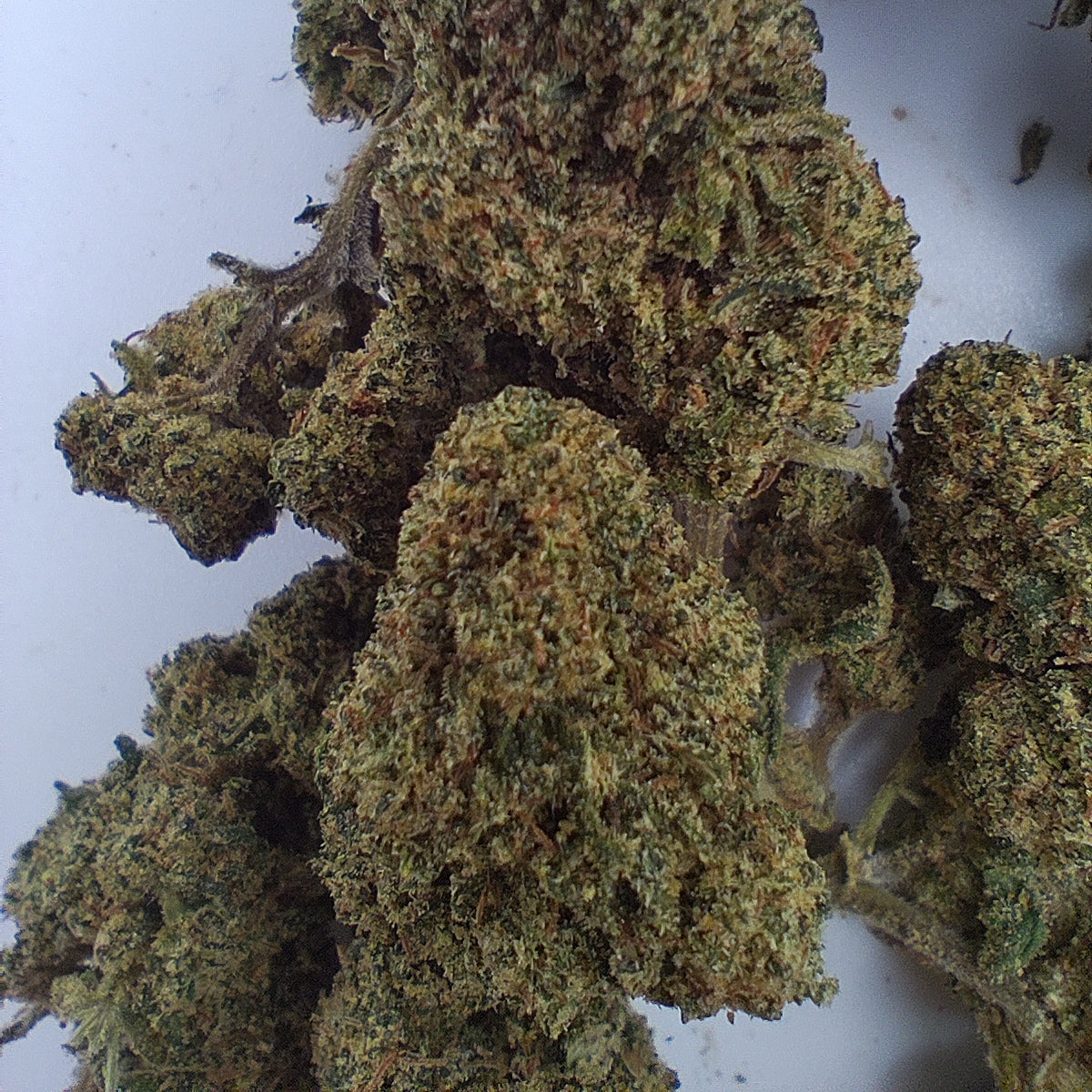 Flor De CBD FRUIT PUNCH 15-18% CBD