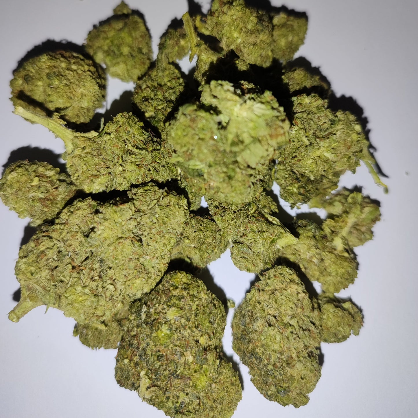 Flor de 10-OH GELATO 15-25% 10-OH