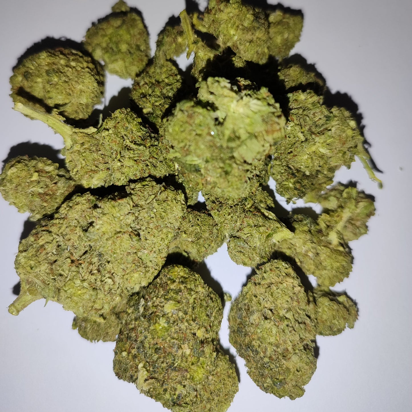 Flor de 10-OH GELATO 20-25% 10-OH