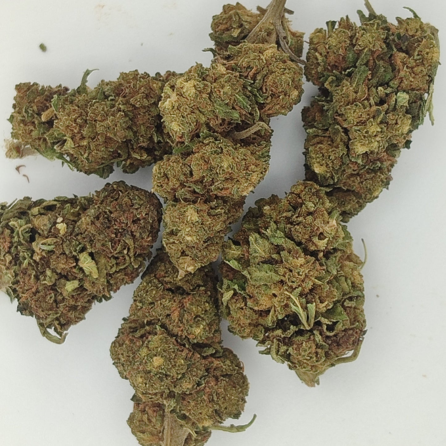 Flor de CBD BUD MIX 15% CBD