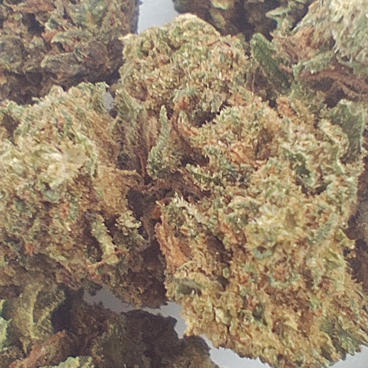 Flor de CBD BUD MIX 15% CBD