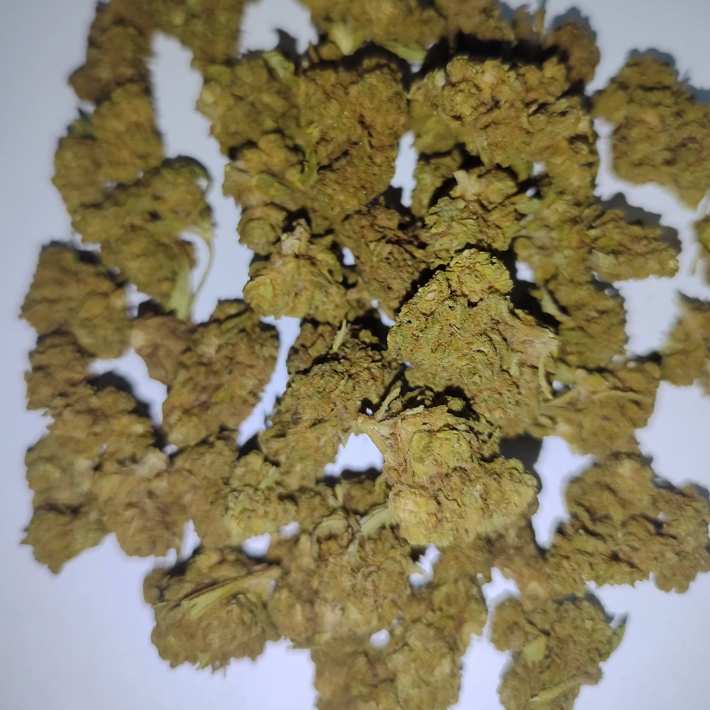Flor de 10-OH SWEET DREAM small 15-18% 10-OH